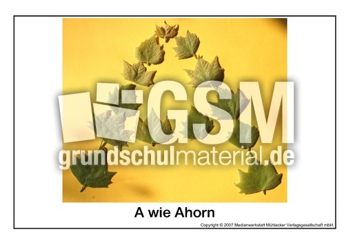 A-wie-Ahorn.pdf